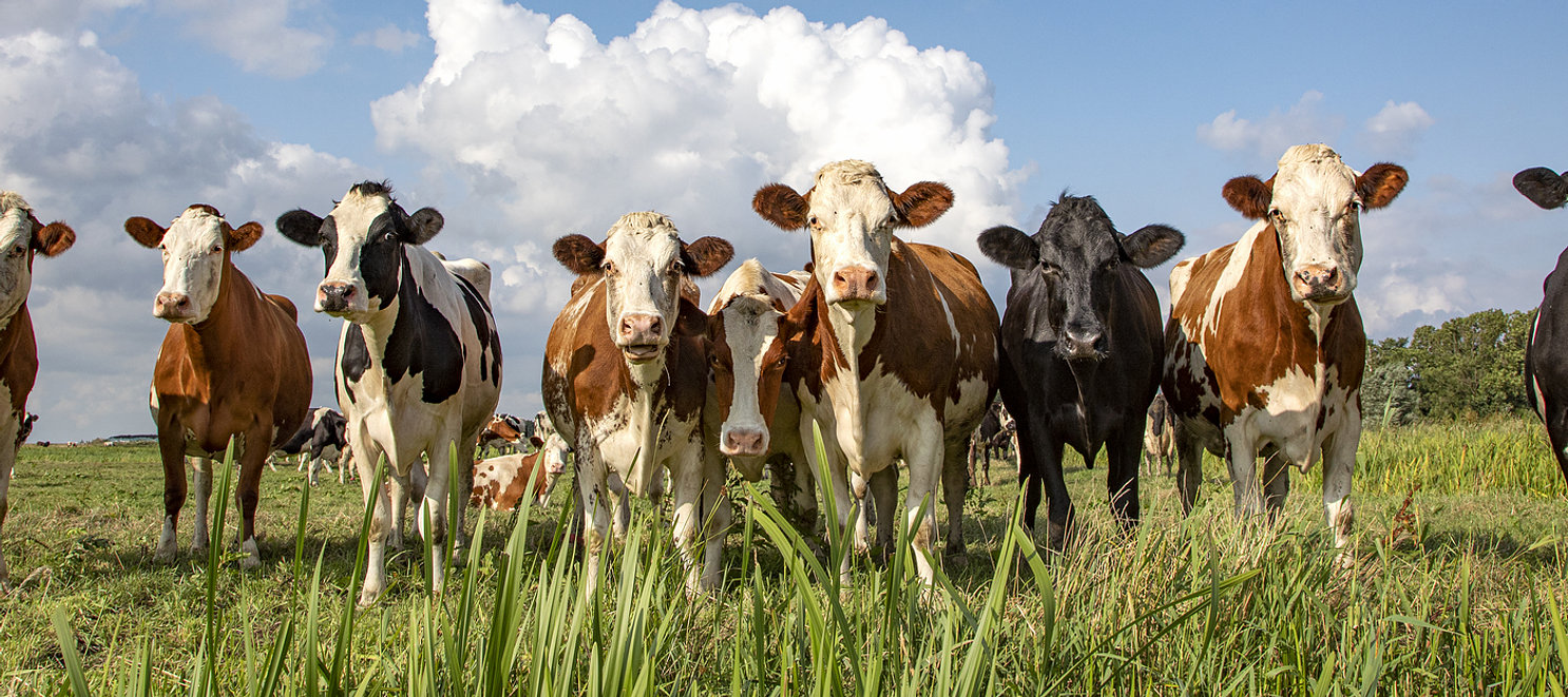 See our farming courses